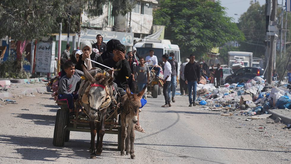 palestinioi